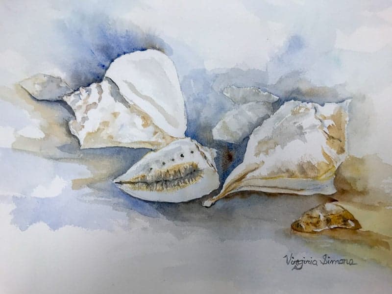 shells-on-beach-virginia-simons
