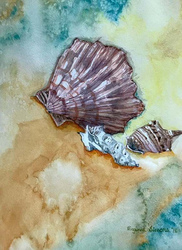 shells-on-shore-virginia-simons